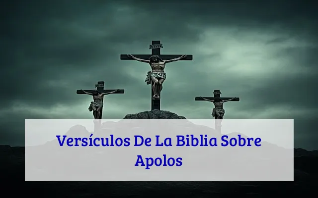 Versículos De La Biblia Sobre Apolos