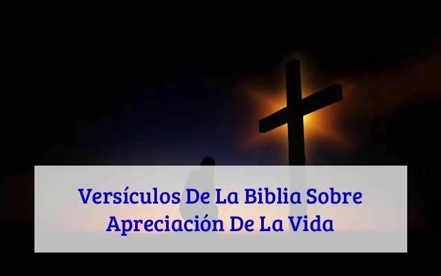 Versículos De La Biblia Sobre Apreciación De La Vida