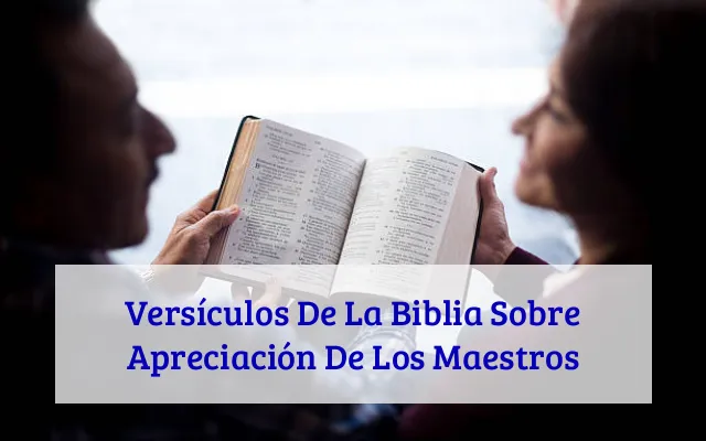 Versículos De La Biblia Sobre Apreciación De Los Maestros