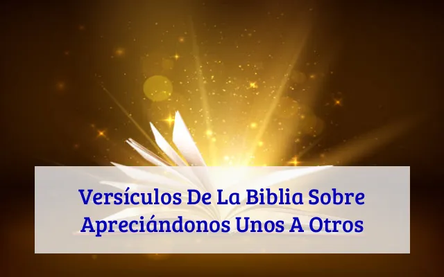 Versículos De La Biblia Sobre Apreciándonos Unos A Otros