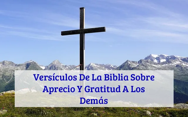 Versículos De La Biblia Sobre Aprecio Y Gratitud A Los Demás