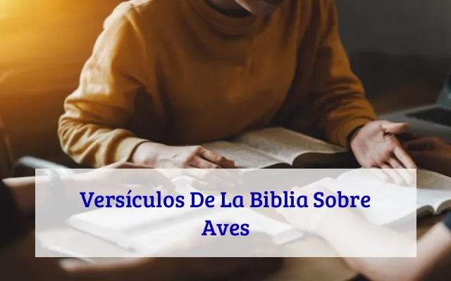 Versículos De La Biblia Sobre Aves
