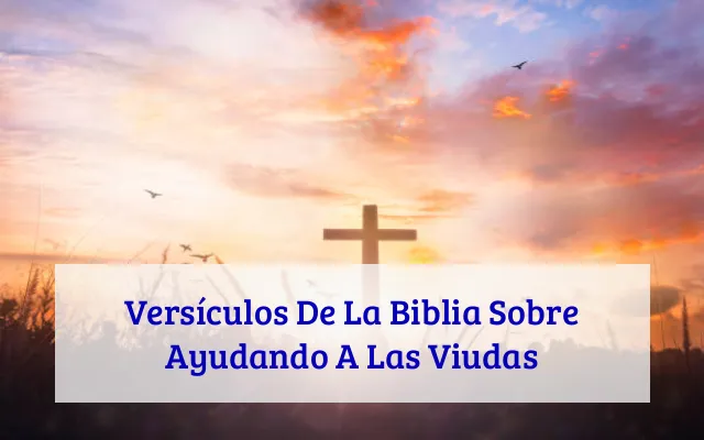 Versículos De La Biblia Sobre Ayudando A Las Viudas