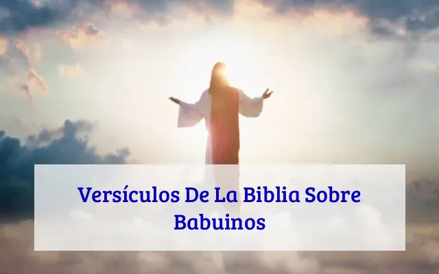 Versículos De La Biblia Sobre Babuinos
