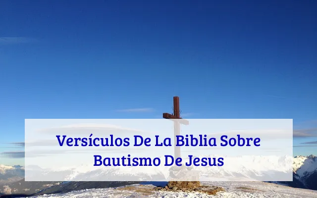 Versículos De La Biblia Sobre Bautismo De Jesus