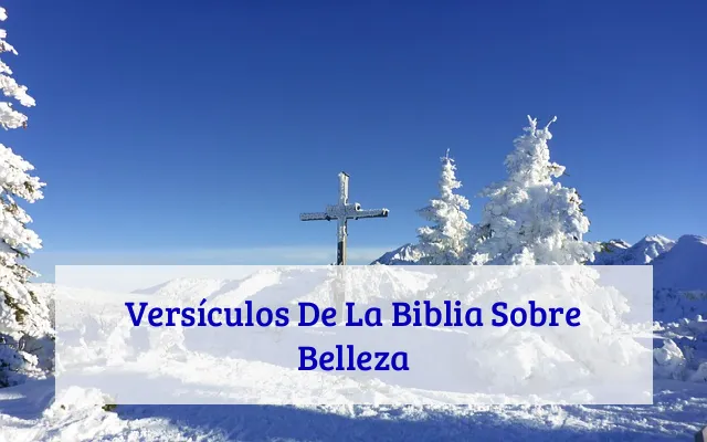 Versículos De La Biblia Sobre Belleza