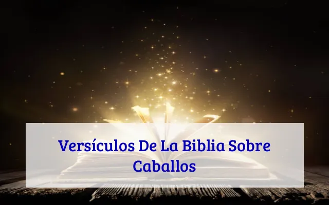 Versículos De La Biblia Sobre Caballos
