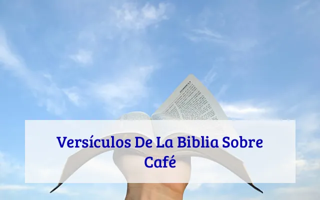 Versículos De La Biblia Sobre Café