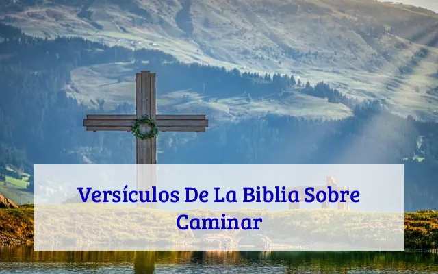 Versículos De La Biblia Sobre Caminar