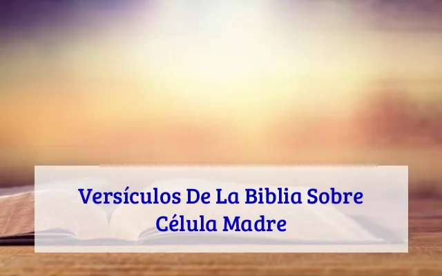 Versículos De La Biblia Sobre Célula Madre