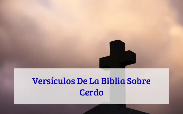 Versículos De La Biblia Sobre Cerdo