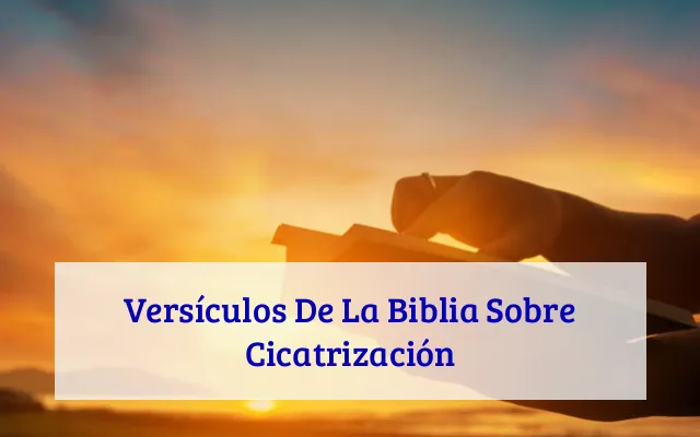 Versículos De La Biblia Sobre Cicatrización