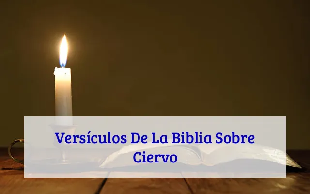 Versículos De La Biblia Sobre Ciervo
