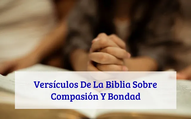 Versículos De La Biblia Sobre Compasión Y Bondad