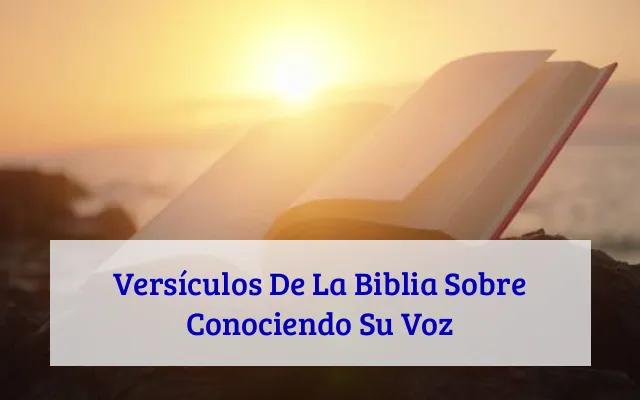 Versículos De La Biblia Sobre Conociendo Su Voz