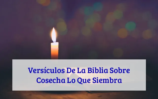Versículos De La Biblia Sobre Cosecha Lo Que Siembra