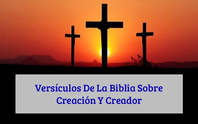 Versículos De La Biblia Sobre Creación Y Creador
