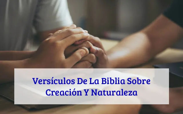 Versículos De La Biblia Sobre Creación Y Naturaleza