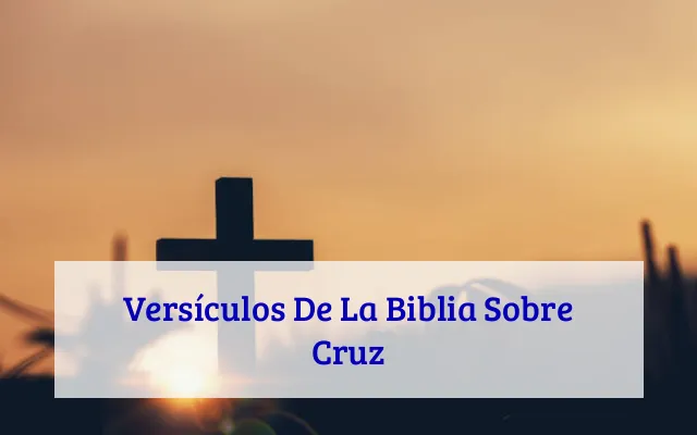 Versículos De La Biblia Sobre Cruz