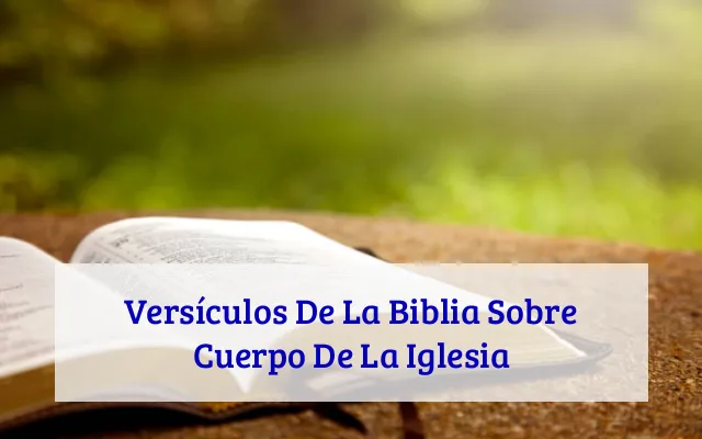 Versículos De La Biblia Sobre Cuerpo De La Iglesia