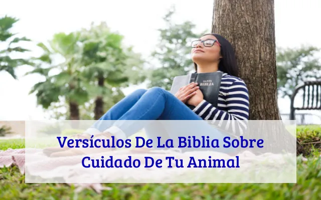 Versículos De La Biblia Sobre Cuidado De Tu Animal