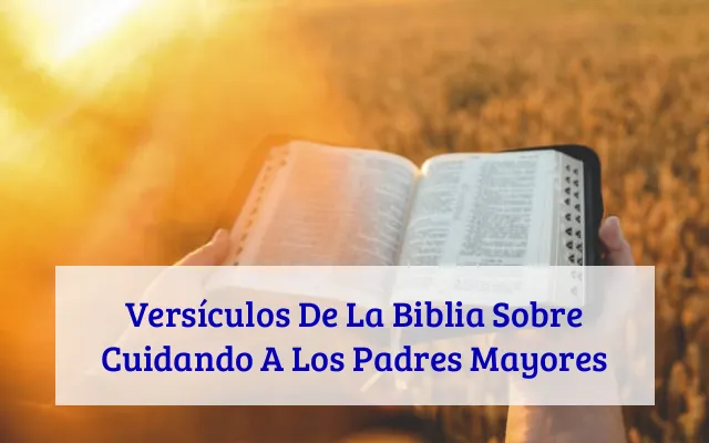 Versículos De La Biblia Sobre Cuidando A Los Padres Mayores