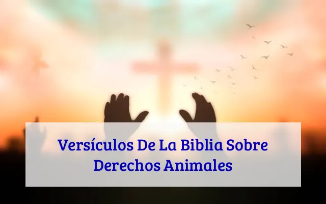 Versículos De La Biblia Sobre Derechos Animales
