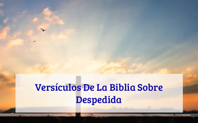 Versículos De La Biblia Sobre Despedida