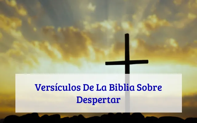 Versículos De La Biblia Sobre Despertar