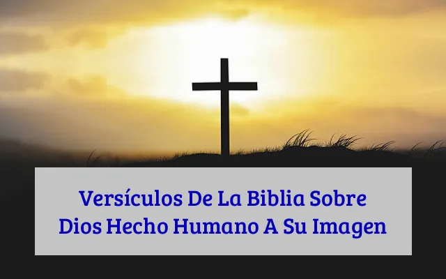 Versículos De La Biblia Sobre Dios Hecho Humano A Su Imagen