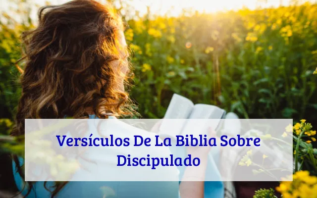 Versículos De La Biblia Sobre Discipulado