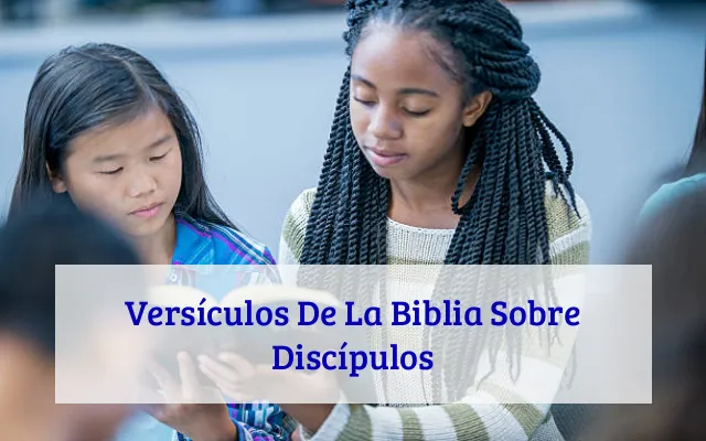 Versículos De La Biblia Sobre Discípulos