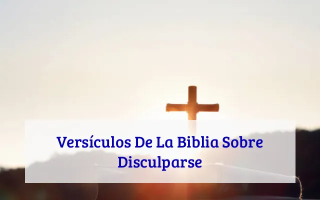 Versículos De La Biblia Sobre Disculparse