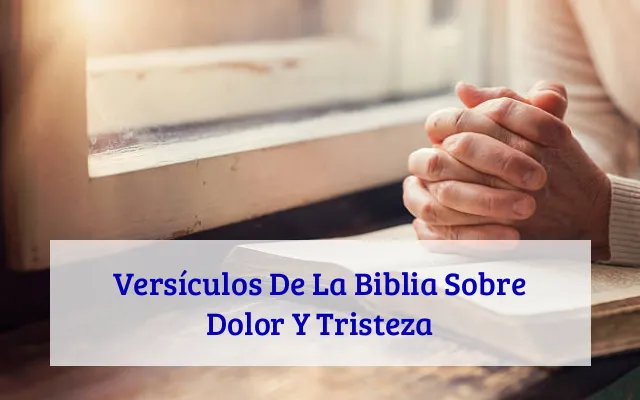 Versículos De La Biblia Sobre Dolor Y Tristeza