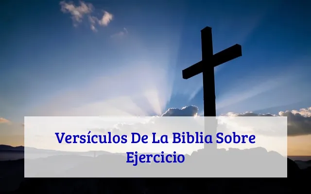 Versículos De La Biblia Sobre Ejercicio