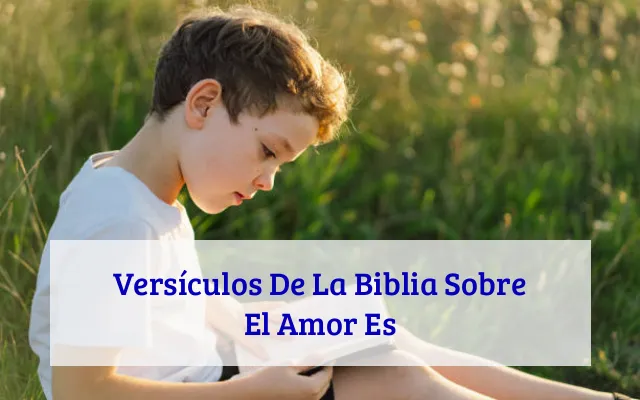 Versículos De La Biblia Sobre El Amor Es