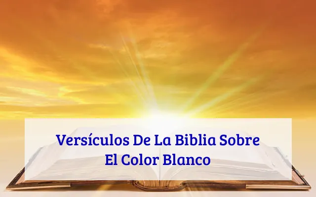 Versículos De La Biblia Sobre El Color Blanco