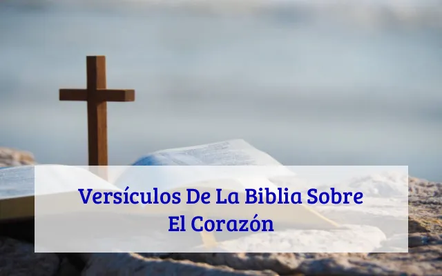 Versículos De La Biblia Sobre El Corazón