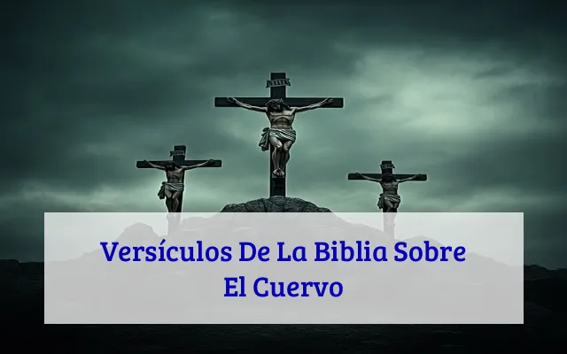 Versículos De La Biblia Sobre El Cuervo