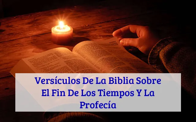Versículos De La Biblia Sobre El Fin De Los Tiempos Y La Profecía