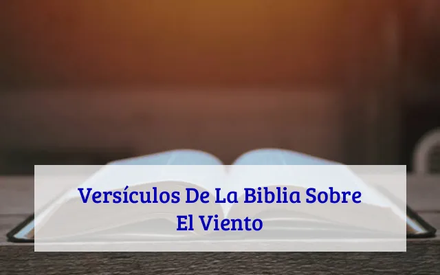 Versículos De La Biblia Sobre El Viento