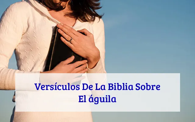 Versículos De La Biblia Sobre El águila