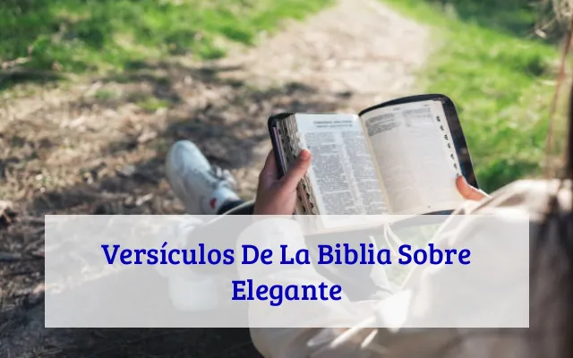Versículos De La Biblia Sobre Elegante