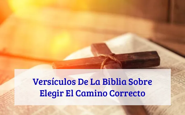 Versículos De La Biblia Sobre Elegir El Camino Correcto