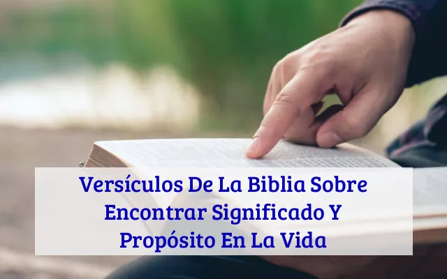 Versículos De La Biblia Sobre Encontrar Significado Y Propósito En La Vida
