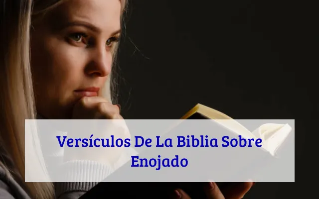 Versículos De La Biblia Sobre Enojado