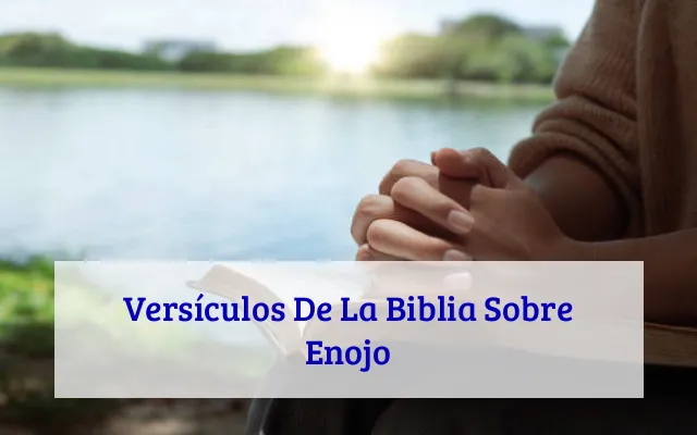 Versículos De La Biblia Sobre Enojo