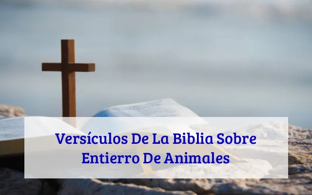 Versículos De La Biblia Sobre Entierro De Animales