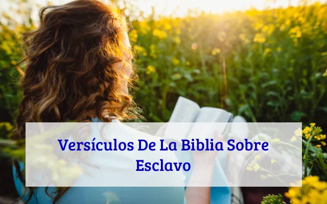Versículos De La Biblia Sobre Esclavo