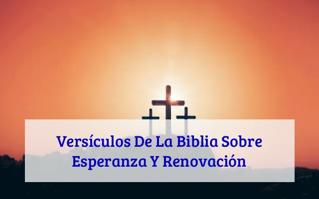 Versículos De La Biblia Sobre Esperanza Y Renovación